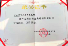 百年集團黨支部回報社會，努力踐行社會責任與