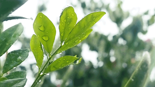 寫給即將中考的你：最后一段，愿你穩(wěn)穩(wěn)地幸福！