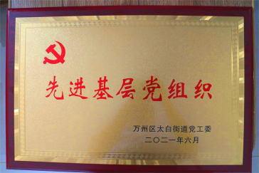 集團(tuán)黨支部回報(bào)社會，努力踐行社會責(zé)任與擔(dān)當(dāng)